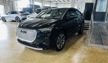 AUDI Q4 E-TRON 2022 lleno